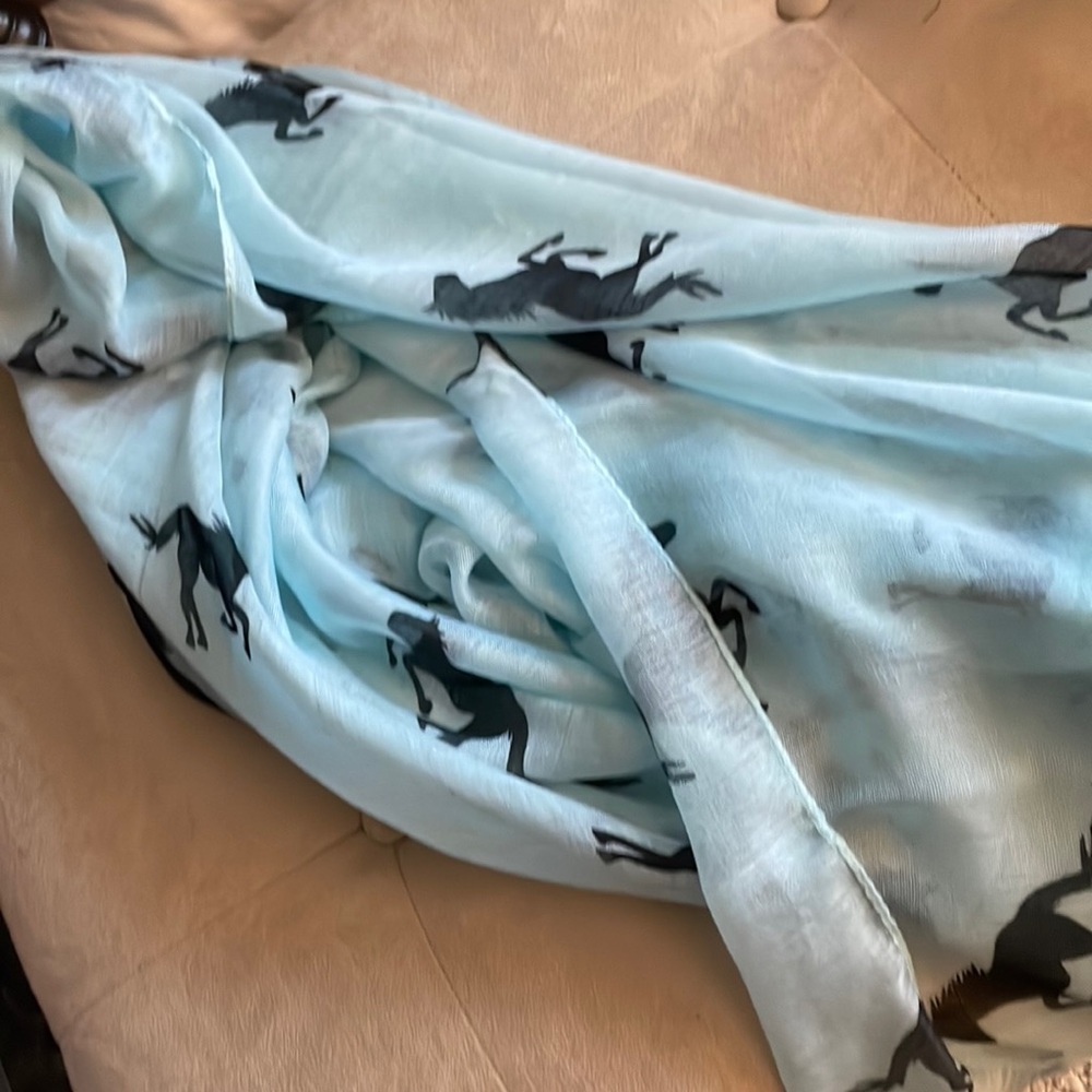 NWOT gauzy blue scarf